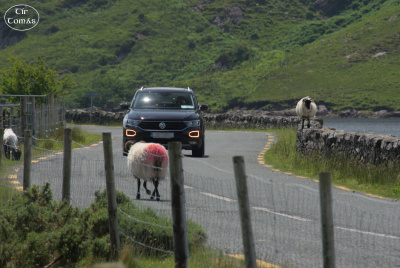 20250620-009-IRL2025-Doolough Valley-TirTomas.jpg