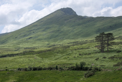 20250620-004-IRL2025-Aasleagh Falls-TirTomas.jpg