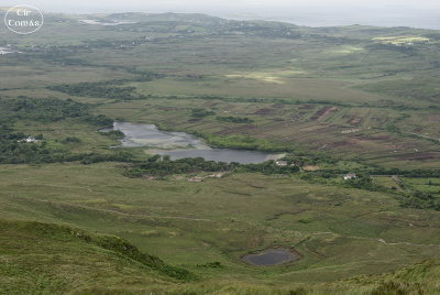 20250621-006-IRL2025-Connemara National Park-TirTomas.jpg
