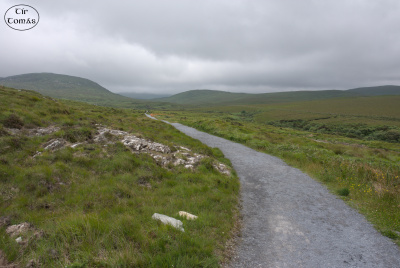 20250621-009-IRL2025-Connemara National Park-TirTomas.jpg