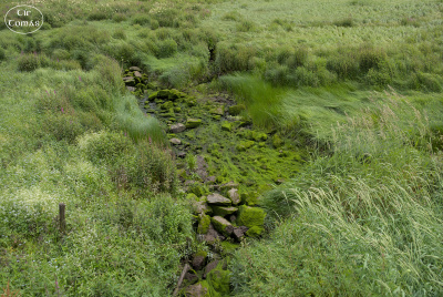 20250623-001-IRL2025-Disappearing Lake-TirTomas.jpg