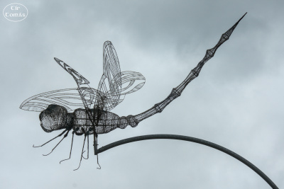 20250623-007-IRL2025-Burren Nature Sanctuary-TirTomas.jpg