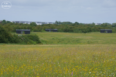 20250623-005-IRL2025-Burren Nature Sanctuary-TirTomas.jpg