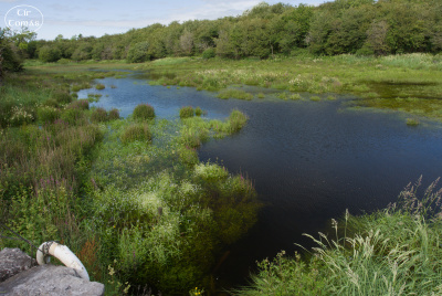 20250624-001-IRL2025-Burren Nature Sanctuary-TirTomas.jpg