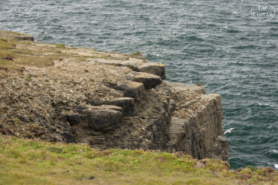 20250625-009-IRL2025-Loop Head-TirTomas.jpg