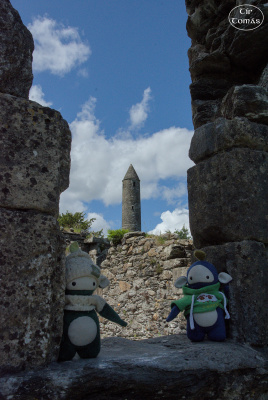 20250702-007-IRL2025-Glendalough-TirTomas.jpg