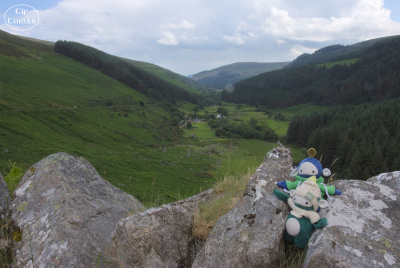 20250703-008-IRL2025-Glenmacnass Waterfall-TirTomas.jpg