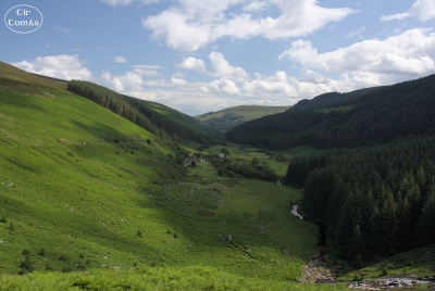 20250703-004-IRL2025-Glenmacnass Waterfall-TirTomas.jpg