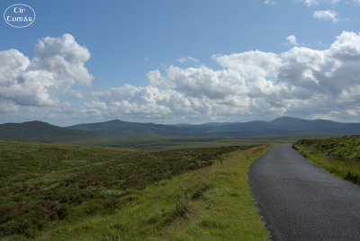 20250703-002-IRL2025-Wicklow Impressions-TirTomas.jpg