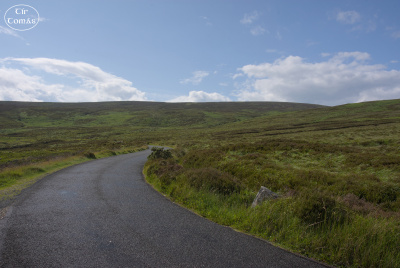 20250703-001-IRL2025-Wicklow Impressions-TirTomas.jpg