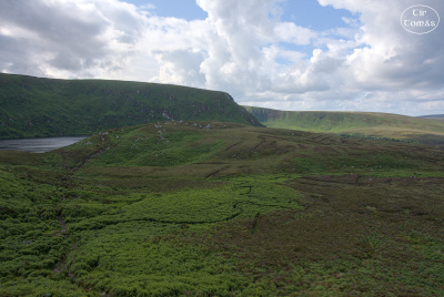 20250703-004-IRL2025-Wicklow Impressions-TirTomas.jpg