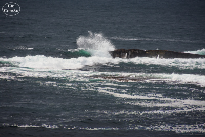 20250616-002-IRL25-Coast Impressions-TirTomas.jpg