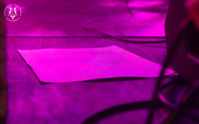 20260314-015-Off Limits-TR.jpg