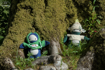 20250617-010-IRL2025-Queen Maeve Trail-TirTomas.jpg