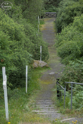 20250618-004-Mass Rock-TirTomas.jpg