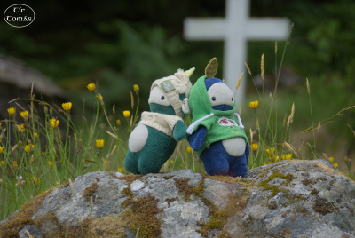 20250618-003-Mass Rock-TirTomas.jpg