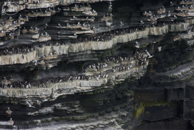 20250618-010-Downpatrick Head-TirTomas.jpg