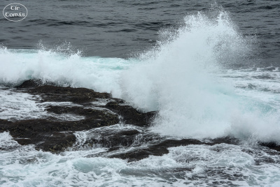 20250618-011-Downpatrick Head-TirTomas.jpg