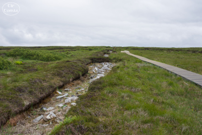 20250618-006-Céide Fields-TirTomas.jpg