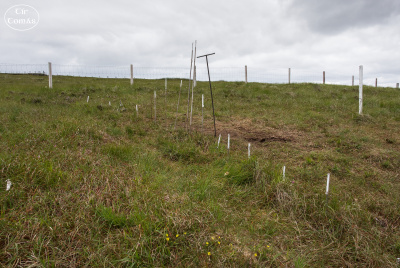 20250618-003-Céide Fields-TirTomas.jpg