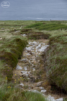 20250618-005-Céide Fields-TirTomas.jpg